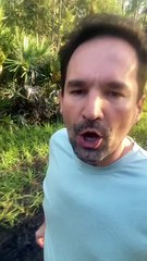 ⚡💼 Emprendedores y Empresarios Que Quieren Vivir del Éxito Real 💼⚡