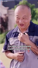 Agonizing Love Under The Table (Chinese Drama English Subtitles ) SnackShort