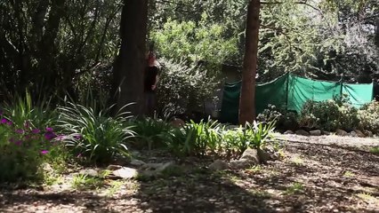 Let It Bleed _ ACTION, THRILLER _ Full Movie in English