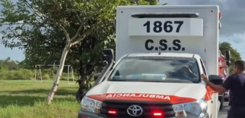 Hombre muere tras ataque de abejas africanizadas en Coclé