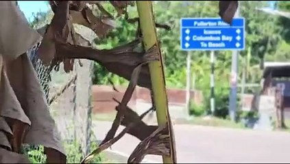 FYZABAD, FULLERTON IMPACTED BY OIL SPILLS