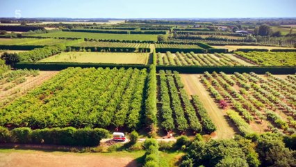 Susan Calmans Grand Day Out S09E07 HDTV