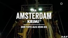 Der Amsterdam-Krimi -06- Der Tote aus dem Eis