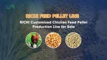 Customized Chicken Feed Production Line | RICHI Machinery Official Video