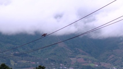 tn7-Este diciembre será mucho más frío de lo normal, pronostica experto 071125