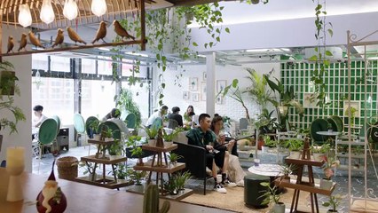 EP10：Mr. Fox and Miss Rose - subbed MultiLang EN, ES, PT, ZH, KO, AR, MS, TH, VI, ID