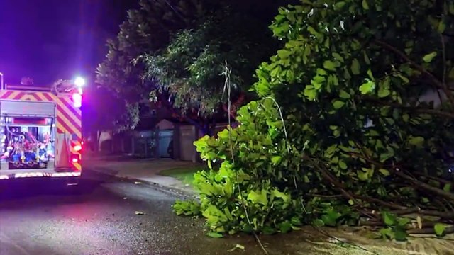 Sete quedas de árvores: Bombeiros são acionados em diversos bairros na noite desta sexta-feira