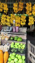 Jenni Claros Announces Farewell to Honduras 🇭🇳