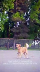 🧡🍏 🔥 [EngSub] The Cure for a Broken Heart