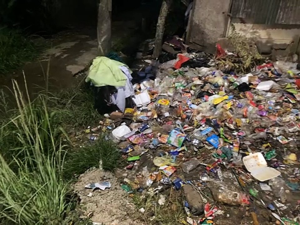 Tumpukan Sampah di Pinggir Jalan Desa Tanjung Johor