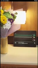 A Sweet Contract with the Mafia Boss