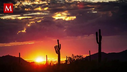 Comunidades rescatan el hábitat del Águila Real, declarada en peligro