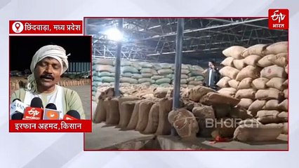 मध्य प्रदेश में MSP पर मक्का खरीदी नहीं! 600 रु. में लिया बीज, 13 रु. किलो में बेचने की मजबूरी