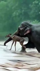 He saved a wild deer with one hand.💔🥲🙏 #foryou #fyp #helpingothers