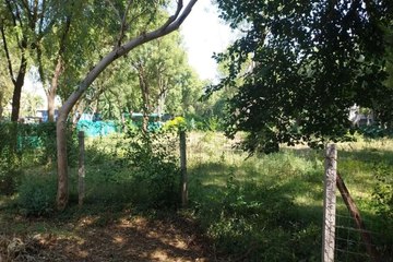 swm: दूध उत्पादन को मिलेगी रफ्तार, सवाईमाधोपुर में लगेगा अत्याधुनिक प्लांट