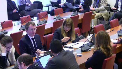 Commission des finances : Crédits des missions Action extérieure de l’État ; Aide publique au développement ; Prêts à des États étrangers (PLF 2026) - Vendredi 7 novembre 2025