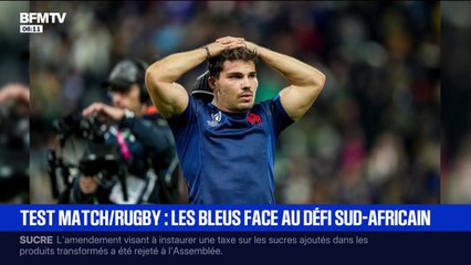 Rugby: la France affronte l’Afrique du Sud ce samedi soir au Stade de France