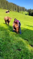 Cute chaos alert! The funniest cat and dog fails you’ll ever see