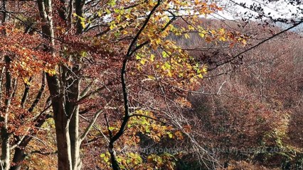 Φθινοπωρινές εξορμήσεις στην ορεινή Δράμα 2018