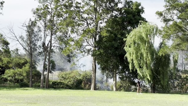 Bushfire sparked at Windale at Lake Macquarie | Newcastle Herald | Saturday, November 8, 2025