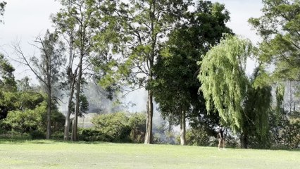 Bushfire sparked at Windale at Lake Macquarie | Newcastle Herald | Saturday, November 8, 2025