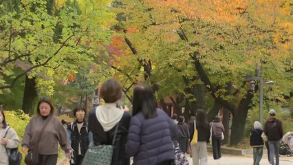 [날씨] 온화한 주말, 단풍 물든 고궁...밤사이 전국 점차 비 / YTN