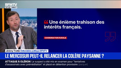 "Une énième trahison des intérêts français": le Mercosur peut-il relancer la colère paysanne?