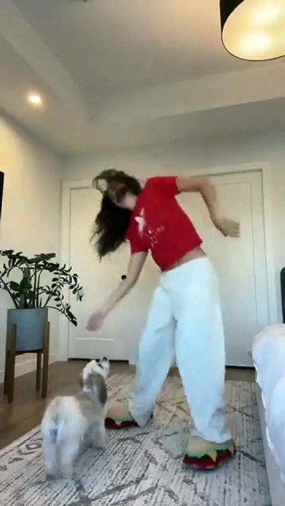 Dog: “Here we go again