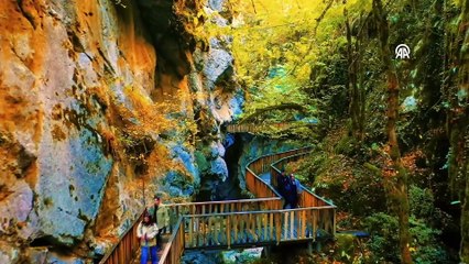 İçinden sonbaharın geçtiği kanyon