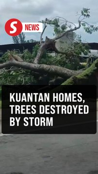 Over 60 houses damaged, 13 trees uprooted due to storm in Kuantan