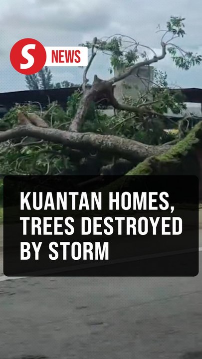 Over 60 houses damaged, 13 trees uprooted due to storm in Kuantan