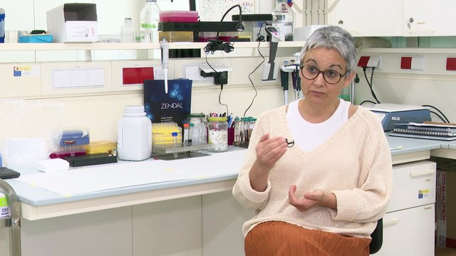 Mayán, líder del proyecto ganador del Premio Zendal: Los cribados son una oportunidad de vida