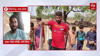 पर्यावरण का हिस्सा और खेतों के रक्षक, दुश्मन नहीं इंसान के दोस्त हैं सांप, जहर से बनें दवाइयां