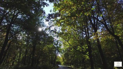 The One Vitamin Most Seniors Miss — and Why It’s Essential for Stronger Bones