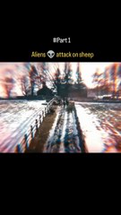 Ai best short video watch the More video's follow me.