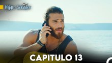 Pájaro soñador - Capitulo 14 (Audio Español) - Erkenci Kuş