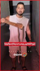 20 ثعبان في شهر واحد.. غزو الثعابين يرعب مدينة إسرائيلية