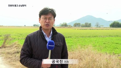 ‘귀한 손님’ 흑두루미 가득한 순천만습지…전봇대도 뽑았다