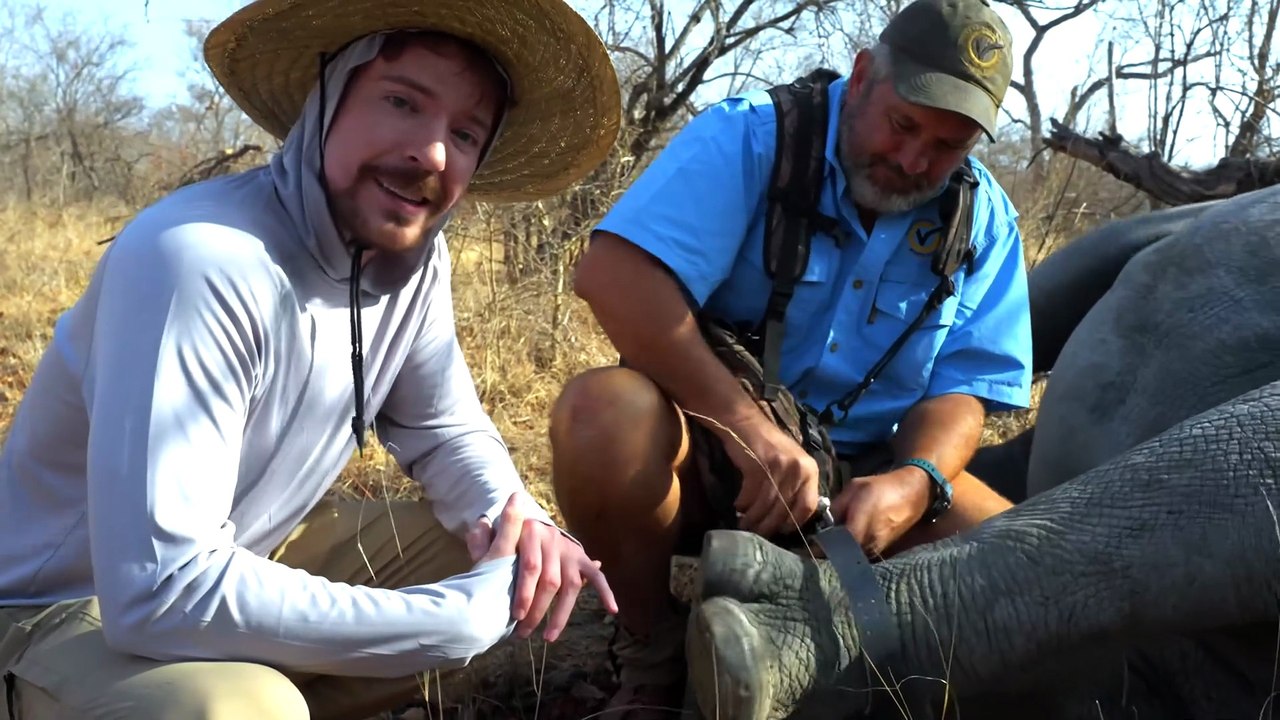 I Saved 1,000 Animals From Dying