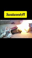 Today's breaking news: A very terrible fight broke out between the dog and the ducks.