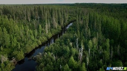 Night Raiders (2021) – Full Movie Hindi Dubbed