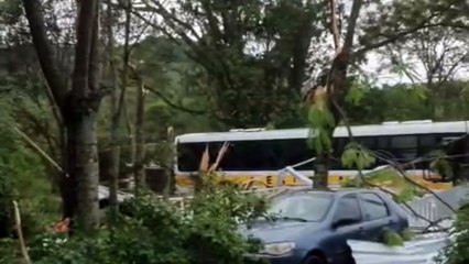 Imagens impressionantes mostram rastros de destruição em SC após passagem de ciclone