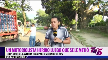 Un motociclista herido luego que se le metió un perro en la avenida Juan Pablo segundo de SPS
