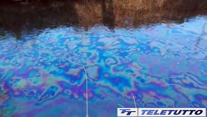 Video News - I 25 anni di Arpa Lombardia