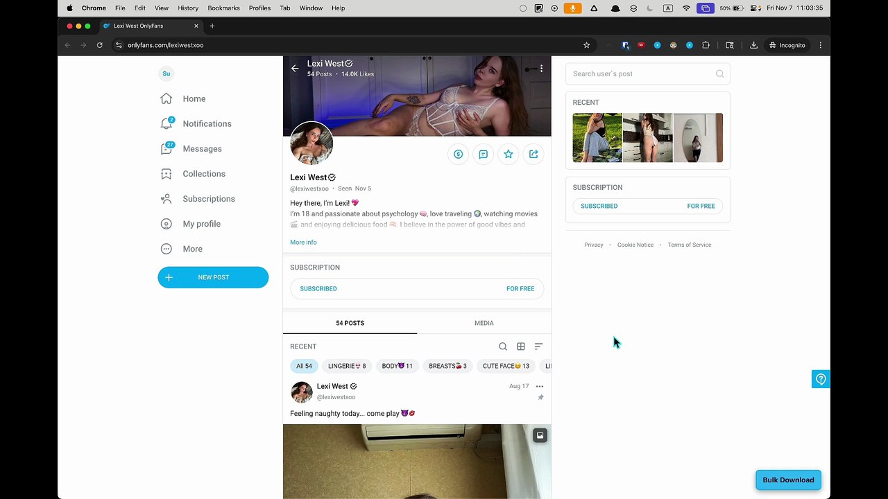 onlyfans downloader bulk downloading demo