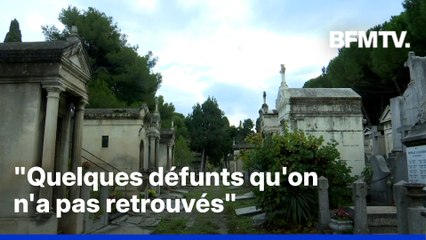Crânes dans des poubelles et mâchoires en vrac : le choc dans un cimetière marseillais