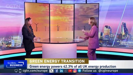 Green energy transition: "There has to be a focus on national plans"
