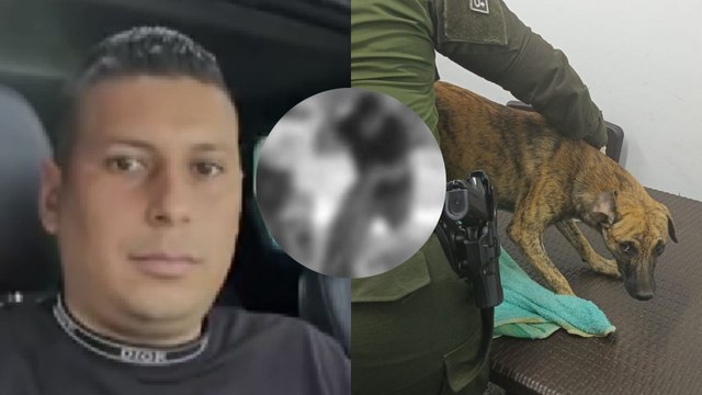 Se entregó el hombre que golpeó brutalmente a un perro en Antioquia: llegó con un animal 