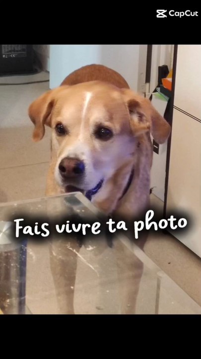 Elle parle d elle meme