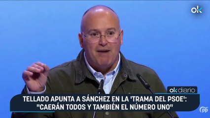 Tellado apunta a Sánchez en la 'trama del PSOE': "Caerán todos y también el número uno"
